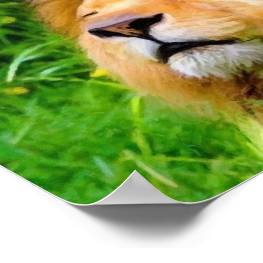 Mooie mannetjes met een Afrikaanse wildernis Poster (Hoek)