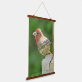 Mooie mannetjeshuisFinch Hanging Tapestry Hangend Wandkleed (Gebogen)