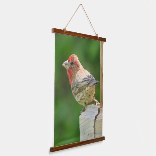 Mooie mannetjeshuisFinch Hanging Tapestry Hangend Wandkleed (Gebogen)