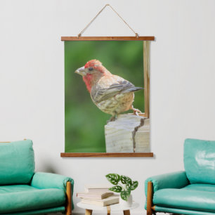 Mooie mannetjeshuisFinch Hanging Tapestry Hangend Wandkleed
