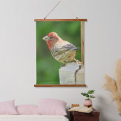 Mooie mannetjeshuisFinch Hanging Tapestry Hangend Wandkleed (Slaapkamer)