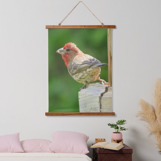 Mooie mannetjeshuisFinch Hanging Tapestry Hangend Wandkleed (Slaapkamer)