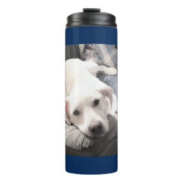 Mooie marineblauwe witte hond met pap thermosbeker