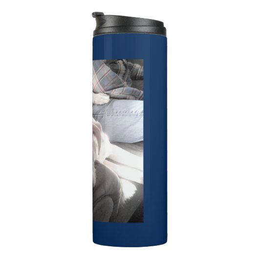 Mooie marineblauwe witte hond met pap thermosbeker (Geroteerd rechts)