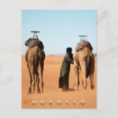 Mooie Marokko woestijn Sahara kameel ritje Briefkaart (Voorkant)