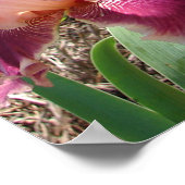 Mooie Maroon Donkerroze Flower Garden Poster (Hoek)