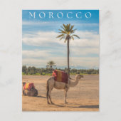 Mooie Marrakech Kameel Woestijn Avontuur Briefkaart (Voorkant)