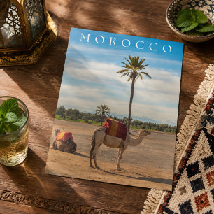 Mooie Marrakech Kameel Woestijn Avontuur Briefkaart