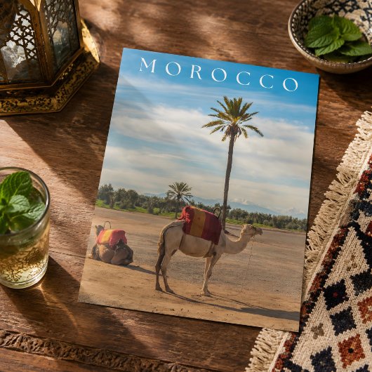 Mooie Marrakech Kameel Woestijn Avontuur Briefkaart
