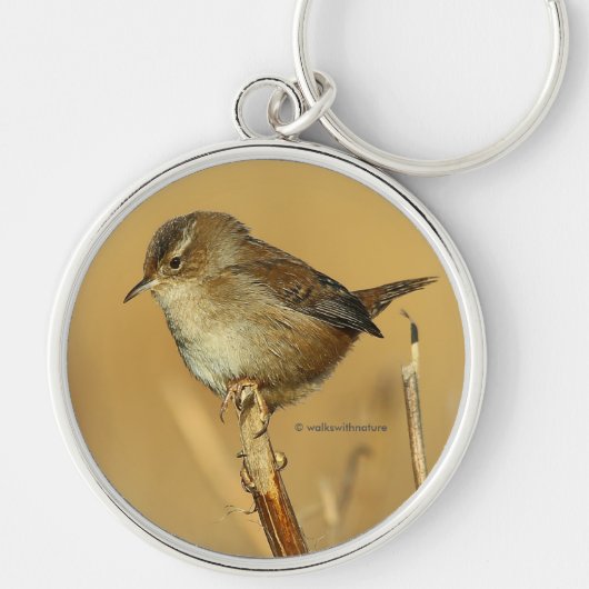 Mooie Marsh Wren in Marsh Sleutelhanger (Voorkant)