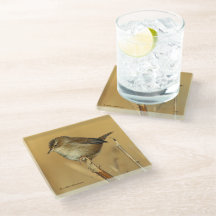 Mooie Marsh Wren Songbird in de moerassen