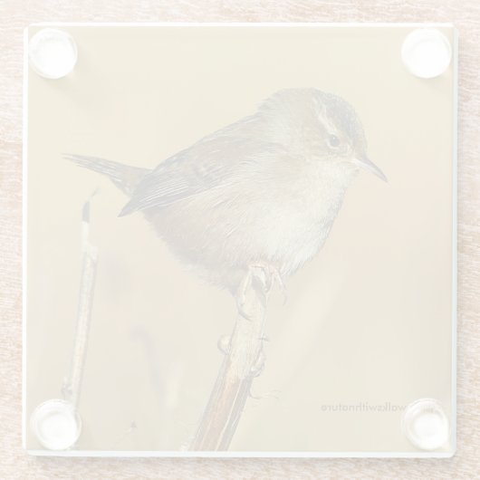 Mooie Marsh Wren Songbird in de moerassen Glazen Onderzetter (Achterkant)