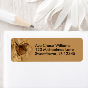 Mooie Marsh Wren Songbird in Marsh Reeds Etiket