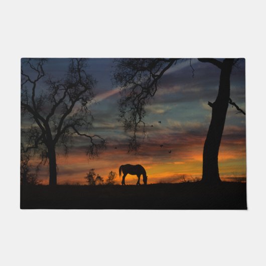 Mooie Mat van de deur van het zuidwesten van paard (Voorkant)