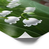 Mooie May Fairy in Lelies van de Vallei Perfect Poster (Hoek)