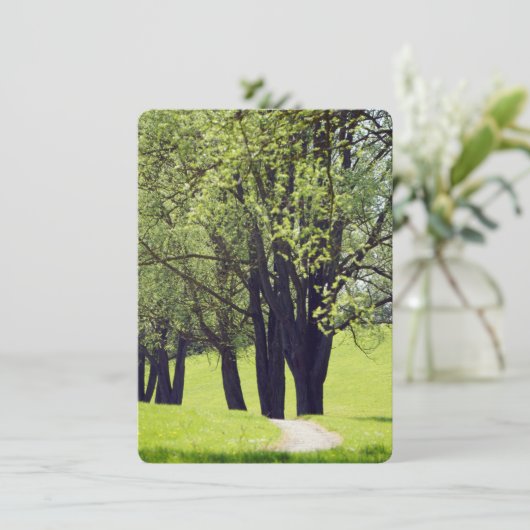 Mooie Meadow (Staand voorkant)