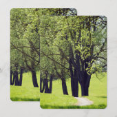 Mooie Meadow (Voorkant / Achterkant)