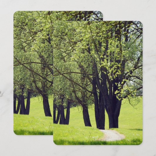 Mooie Meadow (Voorkant / Achterkant)