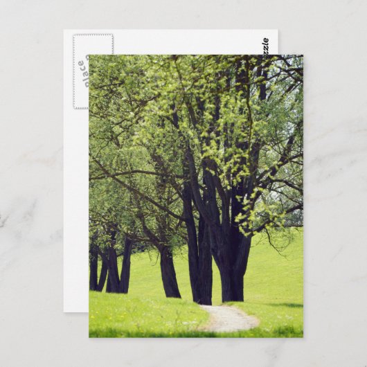 Mooie Meadow Briefkaart (Voorkant / Achterkant)