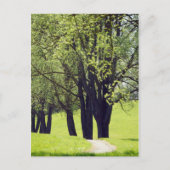 Mooie Meadow Briefkaart (Voorkant)