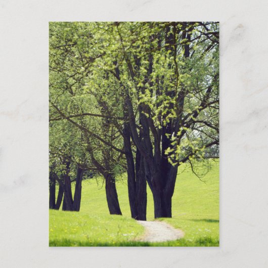 Mooie Meadow Briefkaart (Voorkant)