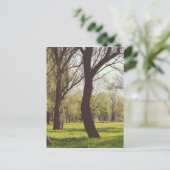 Mooie Meadow Briefkaart (Staand voorkant)
