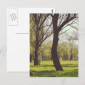 Mooie Meadow Briefkaart (Voorkant / Achterkant)