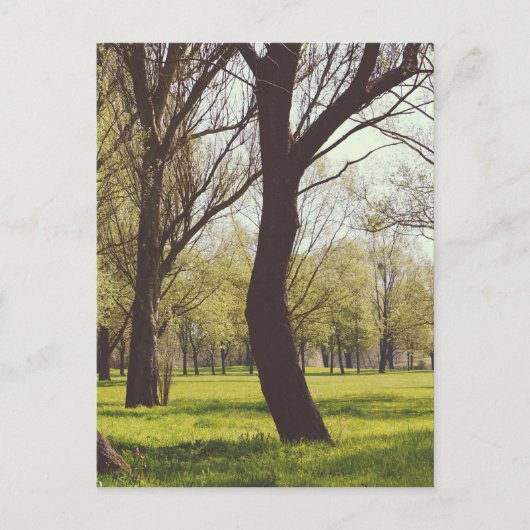 Mooie Meadow Briefkaart (Voorkant)