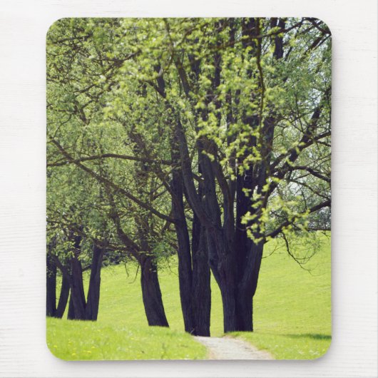 Mooie Meadow Muismat (Voorkant)