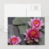 Mooie meerbloemen briefkaart (Voorkant / Achterkant)