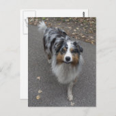 Mooie meerkleurige Aussie Briefkaart (Voorkant / Achterkant)