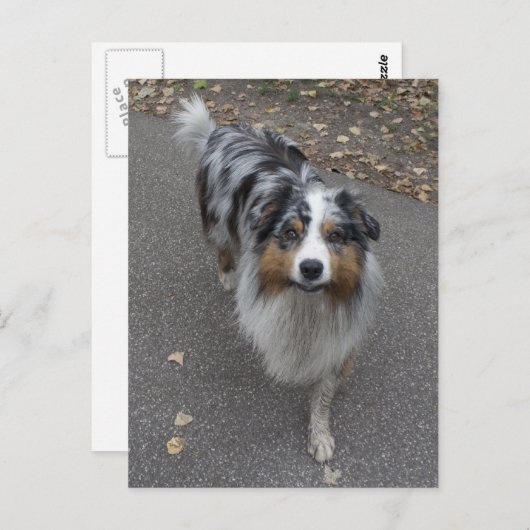 Mooie meerkleurige Aussie Briefkaart (Voorkant / Achterkant)