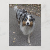 Mooie meerkleurige Aussie Briefkaart (Voorkant)