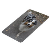 Mooie meerkleurige Aussie Magneet (Linkerzijde)