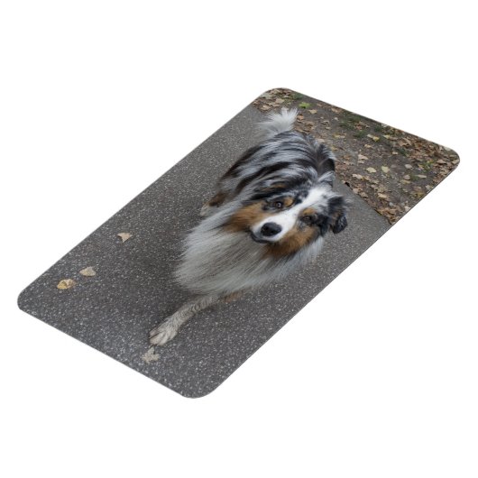 Mooie meerkleurige Aussie Magneet (Linkerzijde)