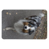 Mooie meerkleurige Aussie Magneet (Horizontaal)