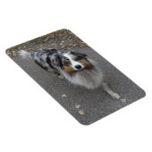 Mooie meerkleurige Aussie Magneet (Rechterzijde)