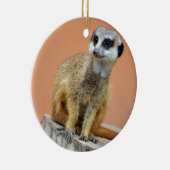 Mooie meerval keramisch ornament (Rechts)