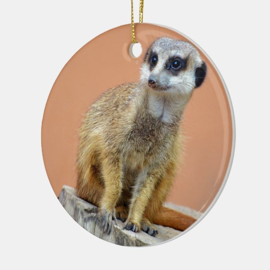 Mooie meerval keramisch ornament (Links)