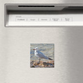 Mooie meeuw aan het Zee - Magnet (Insitu (Vaatwasser))