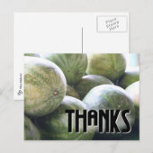 Mooie meloenen! briefkaart (Voorkant / Achterkant)