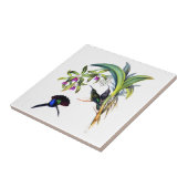 Mooie mensvogels en Paarse orchideeën Tegeltje (Zijkant)