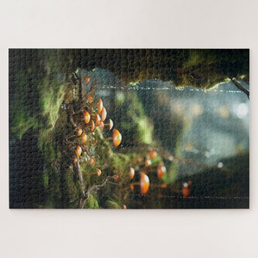 Mooie Middeleeuwse Fantasy Landschap 1014pcs Legpuzzel (Horizontaal)