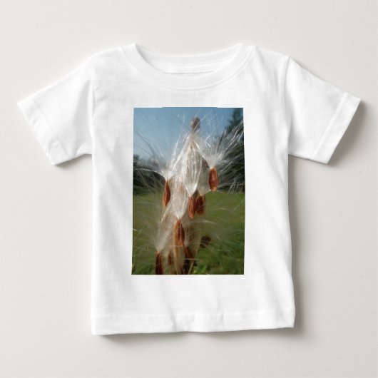 Mooie Milkweed Magic: een Skyward Flight Design (Voorkant)