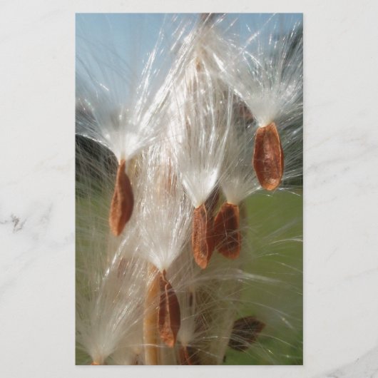 Mooie Milkweed Magic: een Skyward Flight Design Briefpapier (Voorkant)