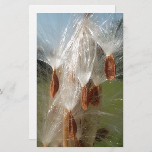 Mooie Milkweed Magic: een Skyward Flight Design Briefpapier (Voorkant / Achterkant)