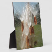 Mooie Milkweed Magic: een Skyward Flight Design Fotoplaat (Zijkant)