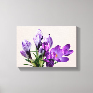 Mooie moderne mooie paarse krokus bloemrijke    ca canvas afdruk