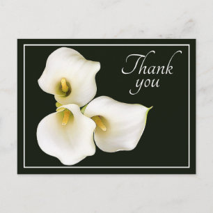 Mooie Moderne Witte Calla Lelie Botanische Dankjew Briefkaart