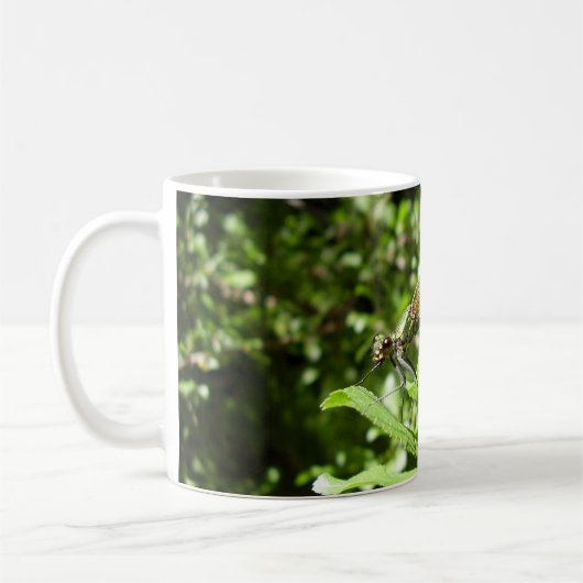 Mooie Mok Demoiselle Bug (Links)